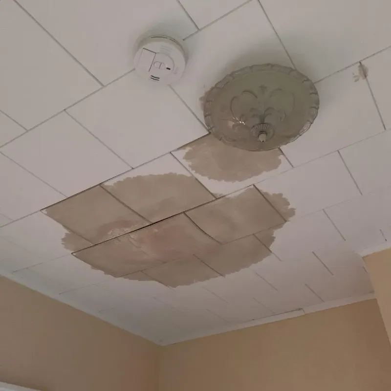 Ceiling Water Damage Repair in Sam Rayburn, TX