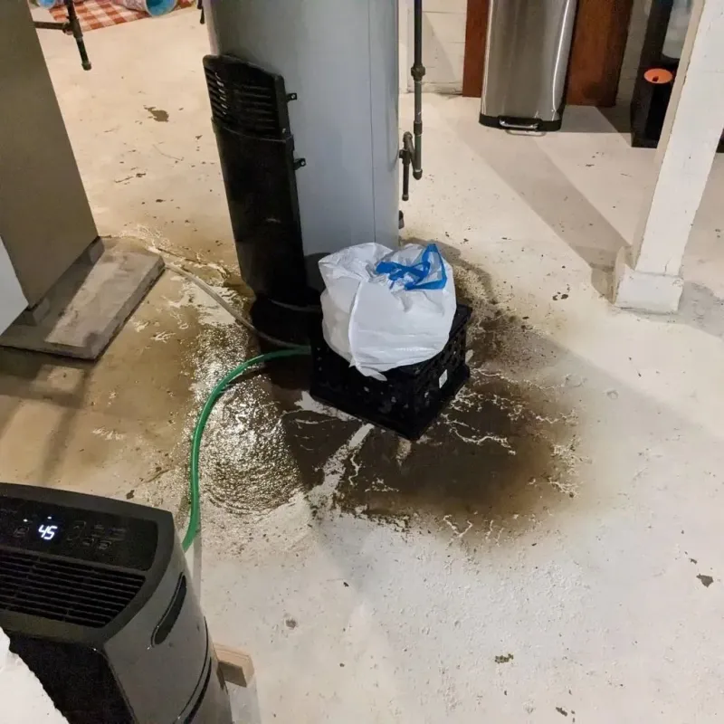 Sewage Backup Cleanup Service in Sam Rayburn, TX
